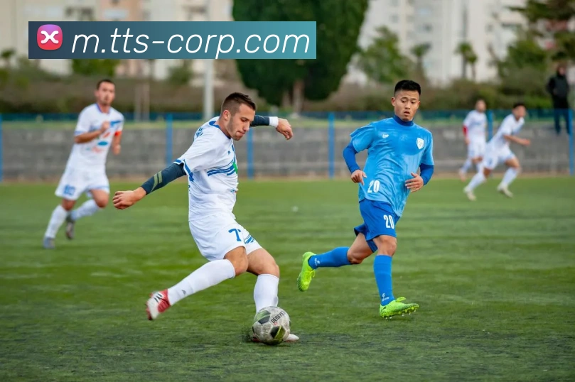 赛事专题整合